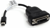 Startech mini DisplayPort apa - DVI-D anya adapter - Fekete