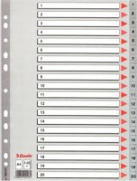 Esselte A4 Műanyag regiszter- Szürke