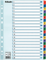 Esselte Mylar A4 Laminált karton regiszter