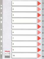 Esselte A4 Műanyag regiszter- Szürke