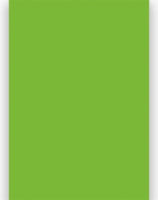 Dekor karton 2 oldalas 48x68cm - Világos zöld (25 ív)