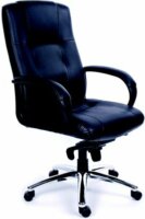 Mayah Enterprise Főnöki szék Fekete