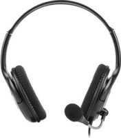 Natec Bear 2 Headset - Fekete