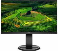 Philips 24" 241B8QJEB/00 monitor