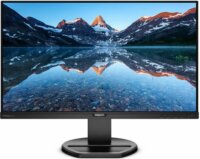 Philips 25" 252B9/00 monitor