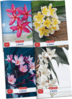 Herlitz x.book: Flower 32 lapos A4 sima füzet - Többféle