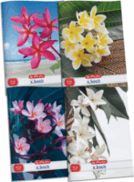 Herlitz x.book: Flower 32 lapos A4 négyzetrácsos füzet - Többféle