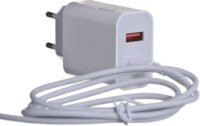 iBox C-36 Hálózati USB Type-C töltő (5V / 3A)