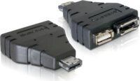 DeLOCK Power-over-eSATA > 1x eSATA and 1x USB adapter