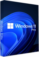 Microsoft Windows 11 Pro 64-bit HUN operációs rendszer (DVD)