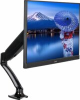 iiyama DS3001C-B1 10"-27" LCD TV/Monitor asztali tartó kar - Fekete