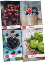 Herlitz Fruit 32 lapos A5 kockás füzet - Többféle
