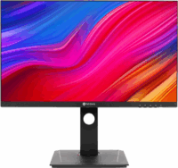 AG Neovo 24" DW2401 Monitor