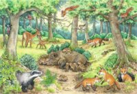 Ravensburger Állatok az erdőben és a réten - 2x12 darabos puzzle