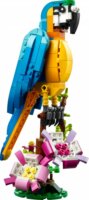 LEGO® Creator 3-in-1: 31136 - Egzotikus papagáj