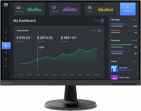 Lenovo 23.8" D24-40 Monitor