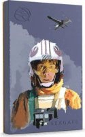 Seagate 2TB FireCuda USB 3.0 Külső HDD - Star Wars Luke Skywalker