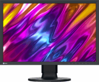 Eizo 24" CS2400S Monitor