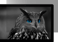 Natec Owl 27" Betekintésvédelmi monitorszűrő