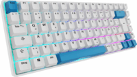 Sharkoon Skiller SGK50 S3 PBT Vezetékes Gaming Billentyűzet (Gateron Yellow) Német - Fehér