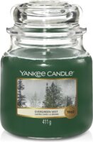 Yankee Candle Evergreen Mist Classic Illatgyertya 411g