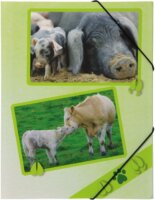 Pagna A4 PP gumis mappa - Farmon élő állatok