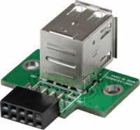 Startech USBMBADAPT2 9Pin apa - 2x USB 2.0 anya Adapter