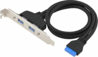 Conceptronic 19 Pin anya - 2x USB-A 3.0 apa adapter