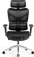Diablo Chairs V-Commander Gamer szék - Fekete