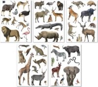 Apli Kids Stickers Matrica készlet - Szavanna állatai (50 darabos)