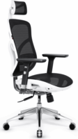 Diablo V-Basic Gamer szék - Fekete/Fehér