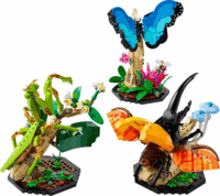LEGO® Ideas: 21342 - A rovargyűjtemény