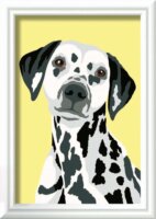 Ravensburger Paint by Numbers Dalmata kutya számfestő készlet