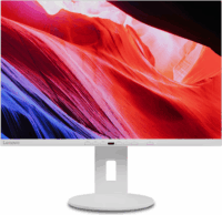 Lenovo 24" C24d-20 Monitor - Fehér