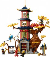 LEGO® Ninjago: 71795 A Sárkány Energiamagok temploma