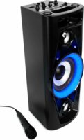 Reflexion PS07BT Bluetooth Karaoke Party Hangszóró Mikrofonnal 320W - Fekete