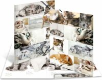 Herma Katzen A3 Rugalmas Karton Gumis mappa - Macska mintás