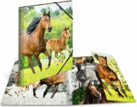 Herma Pferde A4 Rugalmas PP Gumis mappa - Lovak mintás