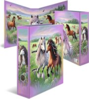 Herma Horse World A4 Karton Gyűrűs iratrendező - Lovas mintás