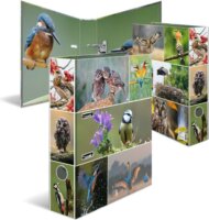 Herma Worlds Home Birds A4 Karton Gyűrűs mappa - Őshonos madarak minta