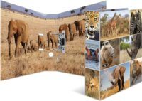 Herma Afrika Tiere A4 Karton Gyűrűs irattartó - Afrikai állatok mintás