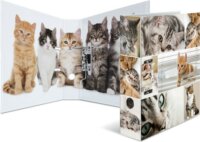 Herma Katzen A4 Karton Gyűrűs iratrendező - Macskák mintás