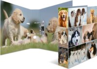 Herma Hunde A4 Karton Gyűrűs iratrendező - Kutyák mintás