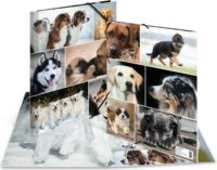 Herma Hunde A4 Karton Gumis mappa - Kutya mintás