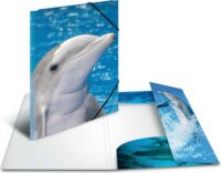 Herma Delfin A3 PP Gumis mappa - Delfin mintás