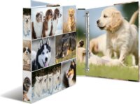 Herma Hunde A4 Karton 4D Gyűrűs iratrendező - Kutya mintás