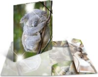 Herma Koala A4 PP Gumis mappa - Koala mintás