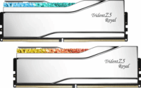 G.Skill 48GB / 6800 DDR5 Trident Z5 Royal Silver CL34 Dual RAM KIT (2x24GB)