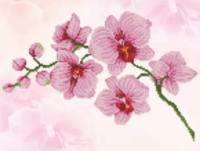Diamond Dotz Orchidea Képkészítő szett 31 x 41 cm